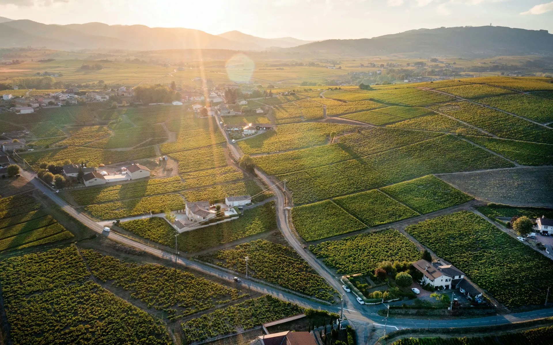 Vignobles du Beaujolais près de Villefranche-sur-Saône, territoire de gestion locative Ambre Conciergerie